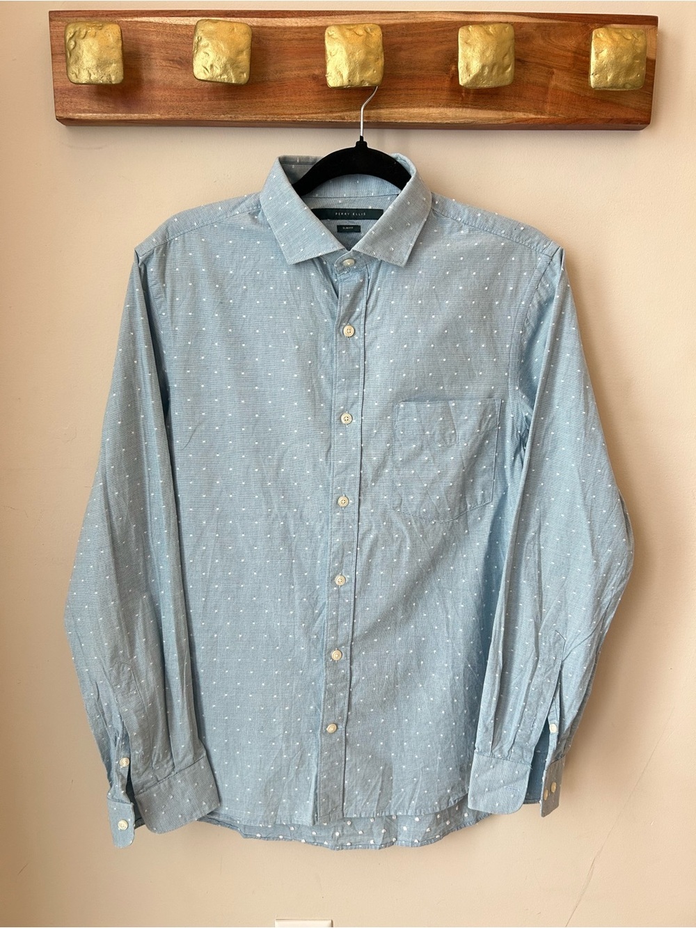 Perry Ellis Slim Fit Micro Dot Oxford Shirt Men’s Medium Preppy Coastal Grandpa